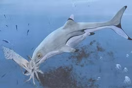 Phát hiện hóa thạch 200 triệu năm tuổi với chiếc bụng chứa đầy mực ống