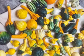 Hải sản trông như nấm, quả bí để chơi 3 tháng rồi nấu ăn