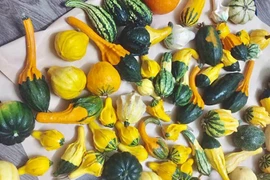 Hải sản trông như nấm, quả bí để chơi 3 tháng rồi nấu ăn