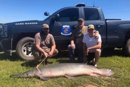 Bắt được loài cá “hóa thạch sống” xuất hiện từ thời khủng long