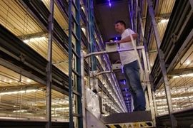 Choáng ngợp “khách sạn” 6 tầng dành cho gà ở xứ sở hoa tuy líp