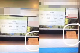 Thi online quên một thứ trên bàn, nam sinh nhận 0 điểm từ giám thị