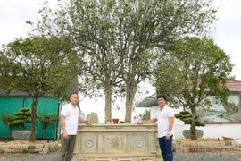 Bí mật sau thương vụ trao đổi cặp Mộc Hương giá 23 tỷ đồng