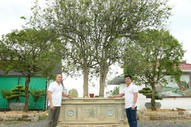 Bí mật sau thương vụ trao đổi cặp Mộc Hương giá 23 tỷ đồng