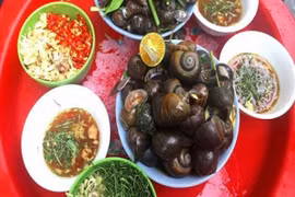 Dù thèm đến mấy chị em cũng đừng ăn ốc với những thứ này!