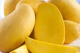 Chỉ 3 giây lướt qua là biết xoài chín tự nhiên không hóa chất