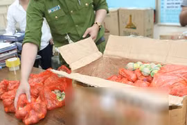 Dùng xe ô tô Lexus vận chuyển nửa tấn pháo nổ