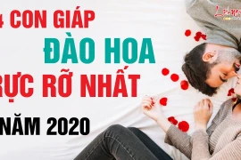 Video: Được Thần tình yêu “bắn xuyên tim”, con giáp này tình duyên vượng sắc trong năm 2020