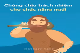 Video: Những bộ phận cơ thể từng hữu dụng với người tiền sử