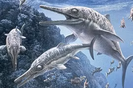 Phát hiện hóa thạch “khủng long biển” khổng lồ ở Ấn Độ