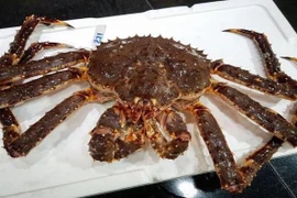 Bà nội trợ chung tiền săn cua hấp hối 