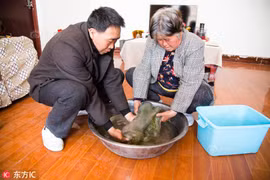 Phát hiện “khối thịt bầy nhầy”, không ngờ là vật quý hơn 35 tỷ đồng?