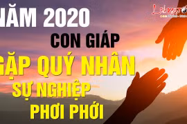 Video: Top con giáp được quý nhân phù trợ, sự nghiệp hanh thông năm 2020