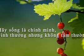 Hãy cứ là chính mình dũng cảm đối mặt với sóng to gió lớn