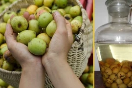 Táo mèo trở thành thuốc độc đối với những người sau