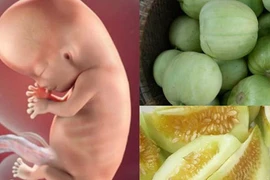 Loại trái cây giúp ngăn ngừa bệnh sỏi thận cho mẹ bầu