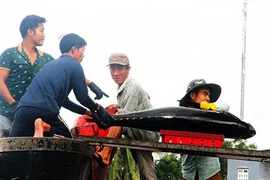 Làng câu cá "khổng lồ" mà xây được "biệt phủ"