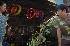 Đằng sau cảnh ngôi nhà, tiệm sửa xe trong "Cây táo nở hoa"