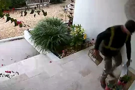 Cô gái tá hỏa phát hiện kẻ trộm cắp chính là người giao hàng