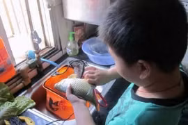 Cậu bé tới công ty để lại một thứ khiến sếp rơi nước mắt