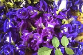 Hoa dại trước hiên nhà, sấy khô bán giá gần 1 triệu/kg