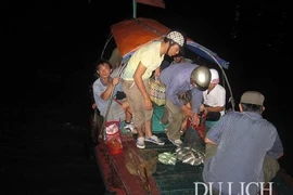 Đi câu đêm ở Cát Bà không vì mục đích lấy cá