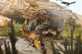 Phát hiện bằng chứng trực tiếp đầu tiên về việc loài lười khổng lồ cổ đại