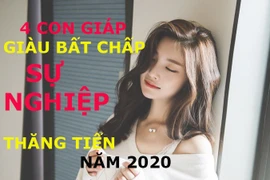 Video: Top con giáp giàu bất chấp, sự nghiệp thăng tiến ầm ầm năm 2020