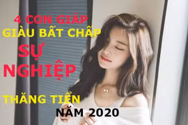 Video: Top con giáp giàu bất chấp, sự nghiệp thăng tiến ầm ầm năm 2020
