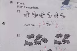 Bất ngờ với cách giải bài toán đếm số hại não của cậu bé