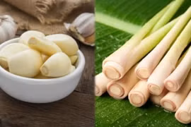 13 thực phẩm là kháng sinh tự nhiên chống lại vi khuẩn