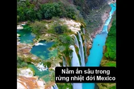 Video: Trốn đời tại "ốc đảo thần tiên" đẹp quên sầu ở Mexico