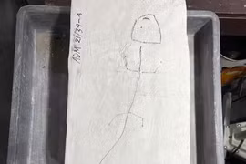 Xương sống ma quái hiện ra trên vách đá: loài chưa từng biết trên thế giới