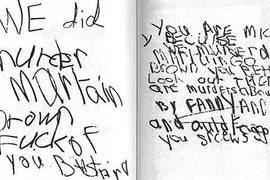 Sát nhân nhỏ tuổi và hành vi của “quỷ”