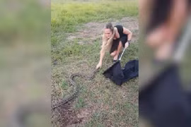 Video: Nữ du khách quyến rũ tay không bắt rắn "khủng"