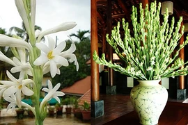 Cúng hoa trên bàn thờ dù là ai cũng nhất định phải biết điều này