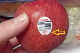 Hoa quả nhập khẩu không phải an toàn tuyệt đối