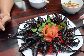 Bán côn trùng kinh dị chiều lòng dân nhậu mùa World Cup kiếm bộn tiền