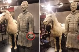 Tượng đất nung 2.000 năm từ mộ Tần Thủy Hoàng bị khách Mỹ vặt tay