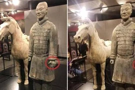 Tượng đất nung 2.000 năm từ mộ Tần Thủy Hoàng bị khách Mỹ vặt tay