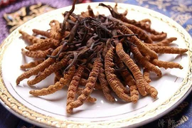 Món ăn không tưởng lọt top đắt giá nhất thế giới