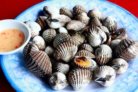 Sò huyết đầm Ô Loan - đặc sản “danh bất hư truyền” ở Phú Yên