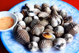 Sò huyết đầm Ô Loan - đặc sản “danh bất hư truyền” ở Phú Yên