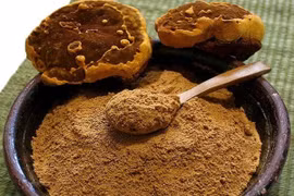 Thị trường nấm Linh Chi: Loạn giá, chất lượng san bằng?