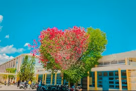 Thích thú với cây trái tim trồng trong khuôn viên trường Đại học