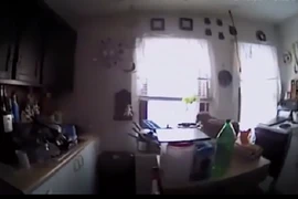 Video: Bắt được “kẻ trộm”, vui mừng khi thả ra