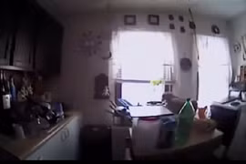 Video: Bắt được “kẻ trộm”, vui mừng khi thả ra