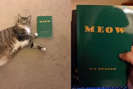 Đặt mua sách qua mạng, khi nhận hàng lại hối hận ngay lập tức