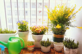 6 trợ thủ đắc lực nhất làm mát ngôi nhà ngày nóng