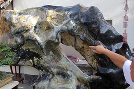 Chiêm ngưỡng bộ sưu tập đá tiền tỷ ở Đồng Nai